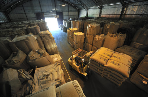 Brasil exportou 3,1 milhões de sacas de café em setembro