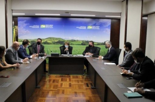 Ministra Tereza Cristina discute regulamentação do café torrado