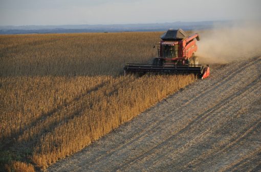 Produção de grãos pode chegar a 291,1 mi de toneladas na safra 2021/22