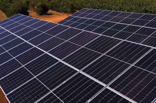 Energia solar garante economia e sustentabilidade nas propriedades rurais