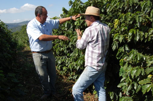 Assistência técnica rural melhora processo de produção cafeeira