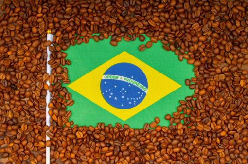 Coffee of the Year Brasil está com inscrições abertas