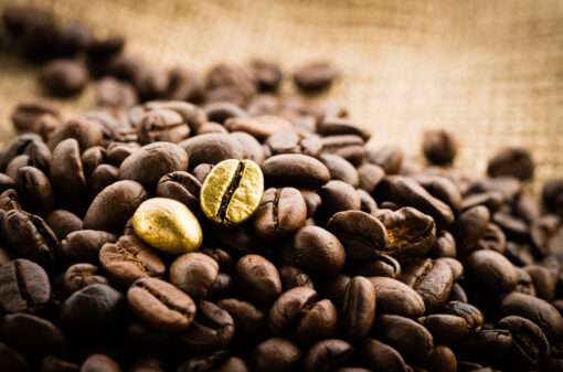 Cafés diferenciados: exportações representam 18% do volume físico total