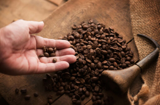 Exportação de café do Brasil cai 3,2% em outubro