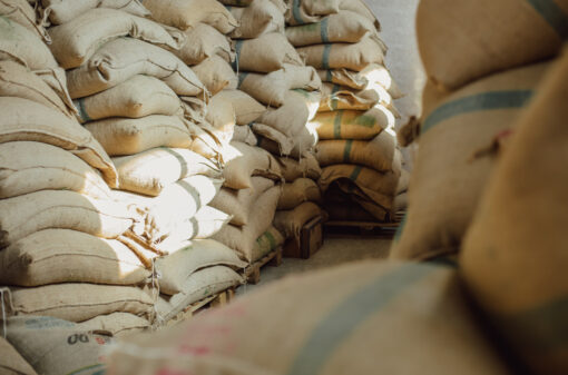 Exportações globais de café verde cresceram 11% em novembro