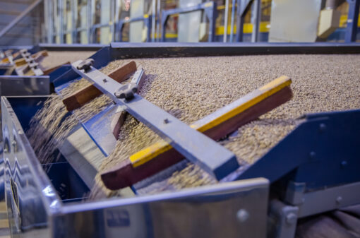 Produtividade das indústrias de café tem crescimento de 85% em 10 anos