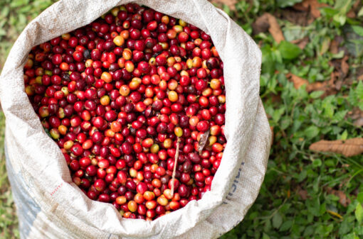 Colômbia eleva compra de café brasileiro
