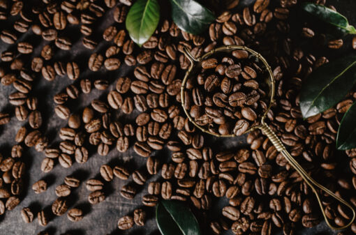 Goiás avança na produção nacional de café