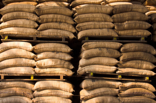 Produção mundial de café estimada em 171,3 milhões de sacas para safra 2022-2023