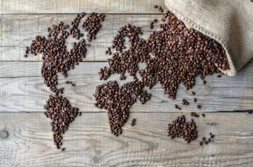 Cafeicultura brasileira deseja que mundo demande com mais sustentabilidade
