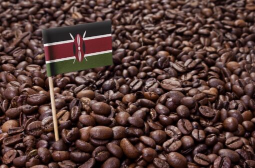 Produção cafeeira do Quênia aumenta 50% em 2022