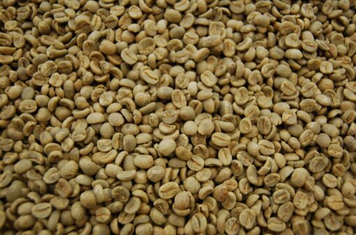 Colheita de café acontece em todo o Brasil e negócios de arábica melhoram