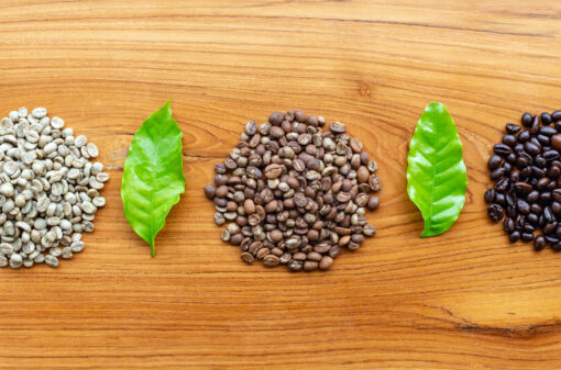 Epamig inicia comercialização de sementes de café da safra 2022/2023
