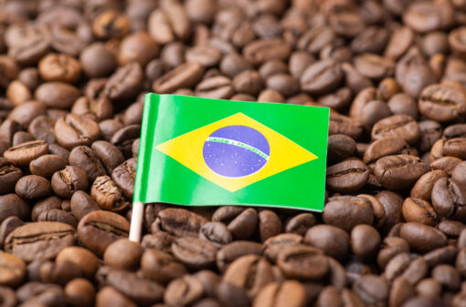 Cafés do Brasil têm valor bruto estimado em R$ 50 bi em 2023
