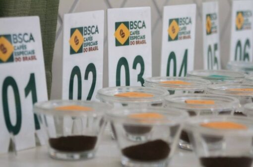 BSCA abre inscrições do Cup of Excellence 2023