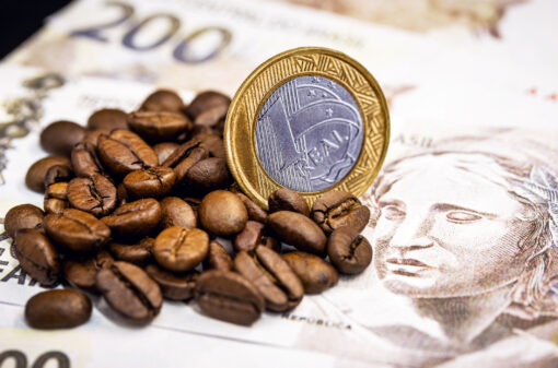 Países produtores importam 1 milhão de sacas de café brasileiro até julho de 2023