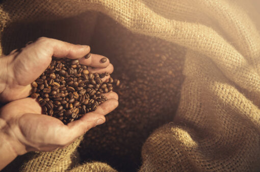 Produção mundial de café estimada em 171,3 mi de sacas no ano-cafeeiro 2022-2023