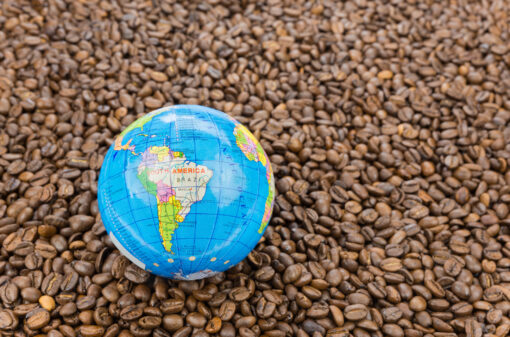 Plataforma de Rastreabilidade fortalece sustentabilidade dos cafés do Brasil